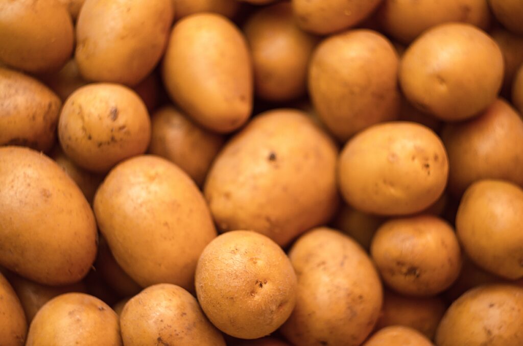 L’histoire captivante des coupes-frites : de l’invention à la cuisine moderne